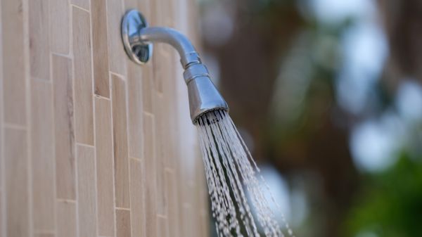 Cost of Showerhead Repair in Kennesaw